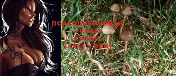 каннабис Алзамай