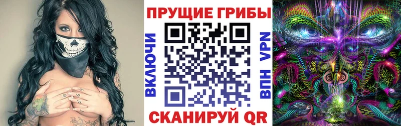 Псилоцибиновые грибы Psilocybe  Петропавловск-Камчатский 