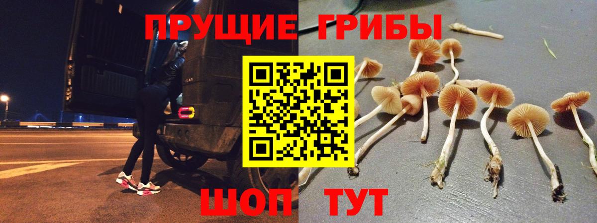 Галлюциногенные грибы GOLDEN TEACHER  Вход с VPN  Петропавловск-Камчатский  Псилоцибиновые грибы мухоморы 
